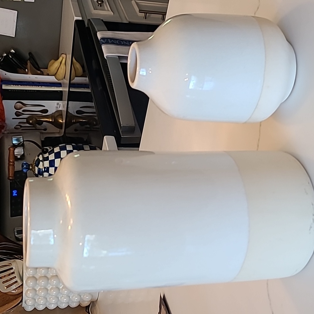 Magnolia Homes Set of 2 Vases
